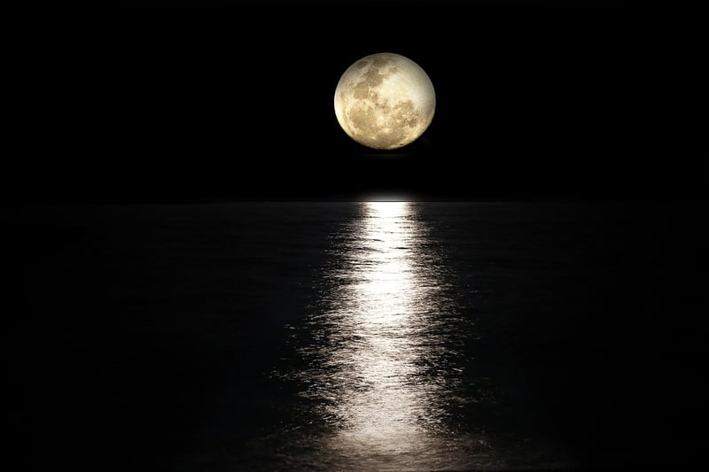 Moonlit Grotto